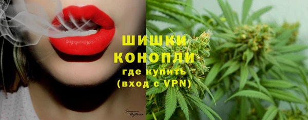 кокс Белокуриха