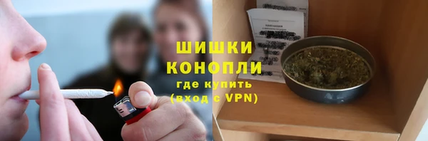 кокс Белокуриха
