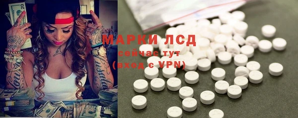 эйфоретик Беломорск